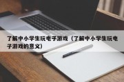 了解中小学生玩电子游戏（了解中小学生玩电子游戏的意义）