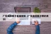 广东麻将赖子直播视频（广东麻将赖子牌的用法）