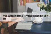 广东麻将俗称叫什么（广东麻将俗称叫什么名字）
