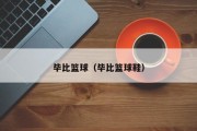 毕比篮球（毕比篮球鞋）