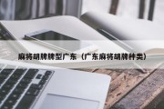 麻将胡牌牌型广东（广东麻将胡牌种类）