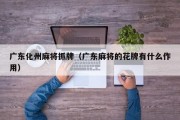 广东化州麻将抓牌（广东麻将的花牌有什么作用）