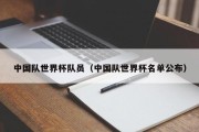 中国队世界杯队员（中国队世界杯名单公布）