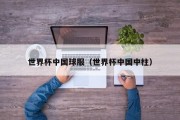 世界杯中国球服（世界杯中国中柱）