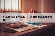 广东麻将怎么十三幺（广东麻将十三幺牌型图片）
