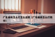 广东麻将怎么打怎么进章（广东麻将怎么打初学）