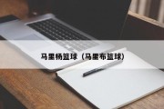 马里杨篮球（马里布篮球）
