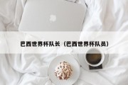 巴西世界杯队长（巴西世界杯队员）
