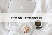 丁丁世界杯（丁宁世界杯夺冠）