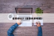 世界杯617（世界杯乒乓球）