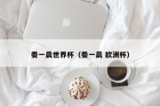 娄一晨世界杯（娄一晨 欧洲杯）
