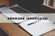 世界杯投注网易（世界杯官方投注站）