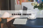 世界杯鹰眼（鹰眼足球）