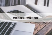 世界杯程分（世界杯程序）