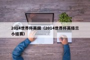 2014世界杯英国（2014世界杯英格兰小组赛）