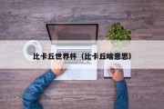 比卡丘世界杯（比卡丘啥意思）