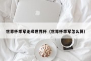 世界杯季军无缘世界杯（世界杯季军怎么算）