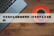 卡卡为什么没参加世界杯（卡卡为什么不当教练）